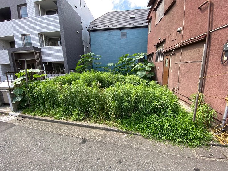 草刈り（東京都品川区） 施工前
