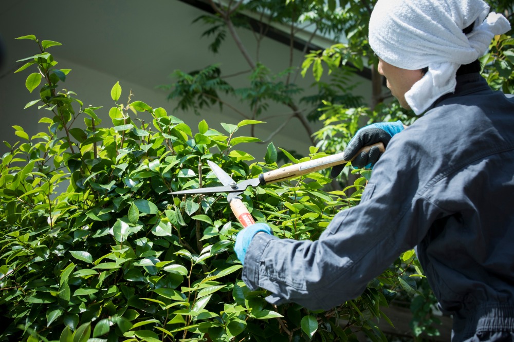 除草・草刈り(大田区)