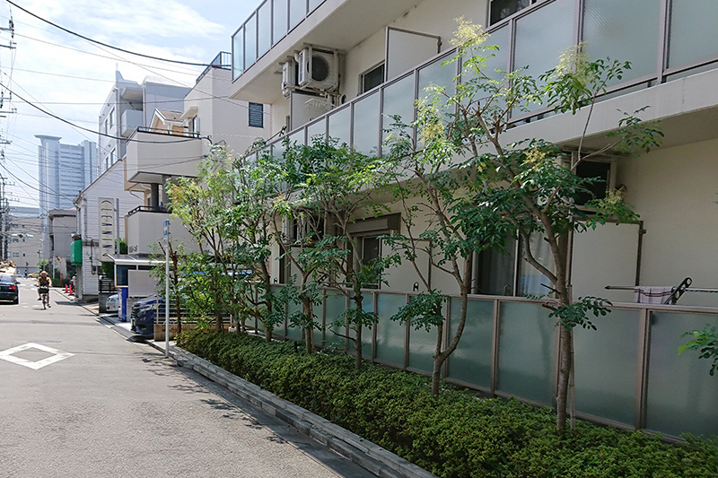 施工後の植栽（大田区の植木屋いぶき苑）