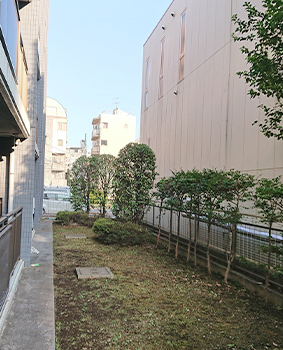 大田区の生垣刈込み 施工事例｜植木屋いぶき苑